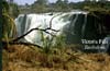 Victoria Wasserfälle, Zimbabwe