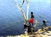 Kleine Fischer in Malawi